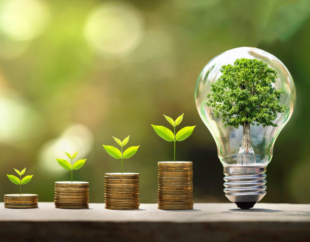 Why Successful Investing Follows a Clear Why–How–Where Framework