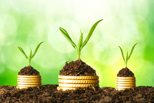 Mutual Fund Investment Traps to Avoid Right Now