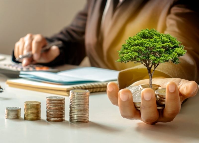 What Is Diversification in Investing and Why Does It Matter?